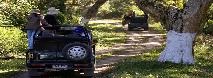 283/M.V. Mahabaahu Brahmaputra River Cruise - Guwahati 16.jpg